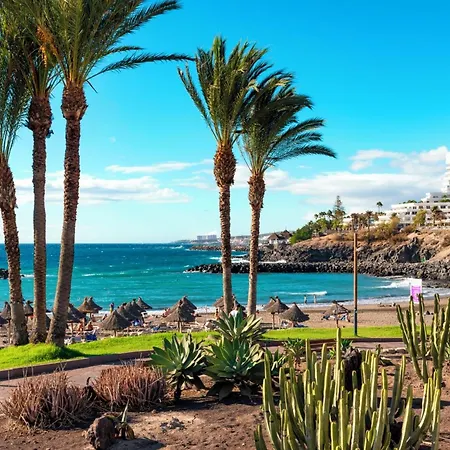 Appartamento Estudio Nuevo Con Piscina E Internet, Cerca De La Playa - Es-347-23 Arona (Tenerife)